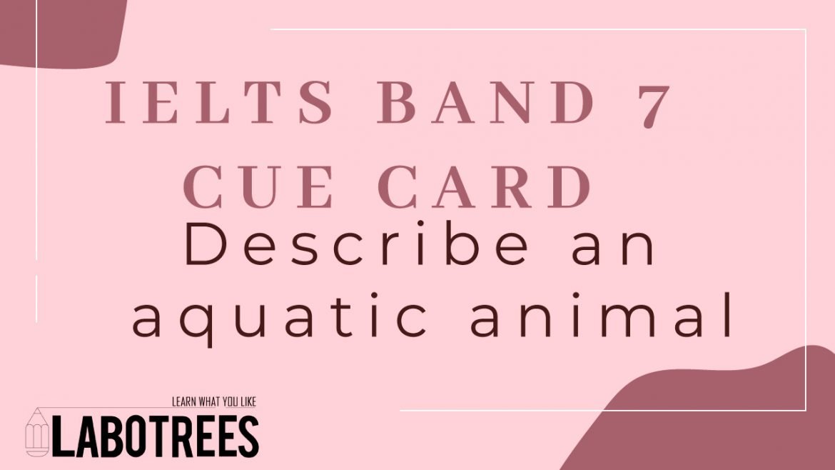 Describe an aquatic animal
