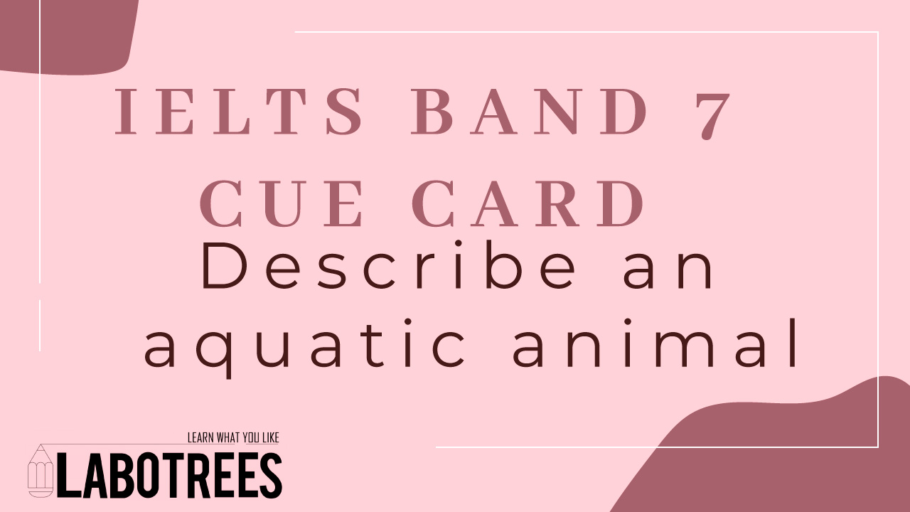 Describe an aquatic animal | Speaking Cue Card | Labotrees