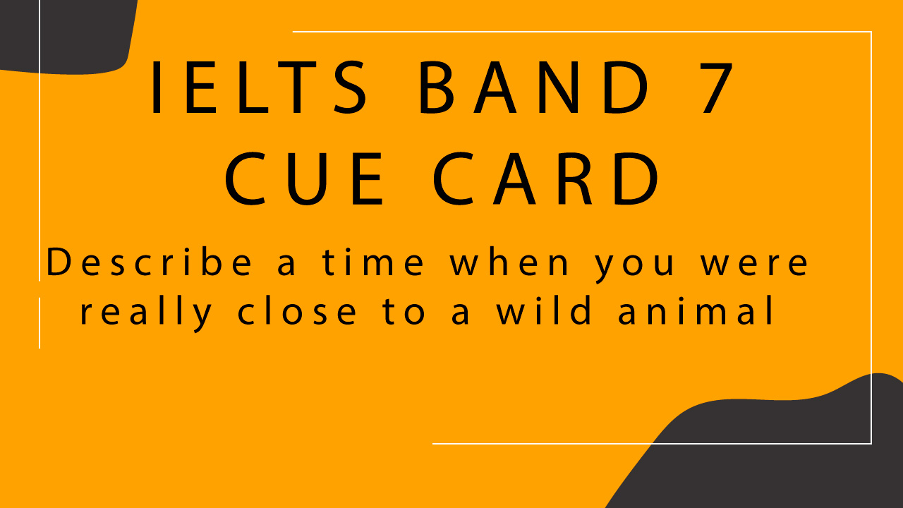 Describe a time when you were really close to a wild animal | Speaking Cue  Card | Labotrees