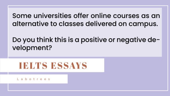 Some Universities Offer Online Courses As An Alternative To Classes 