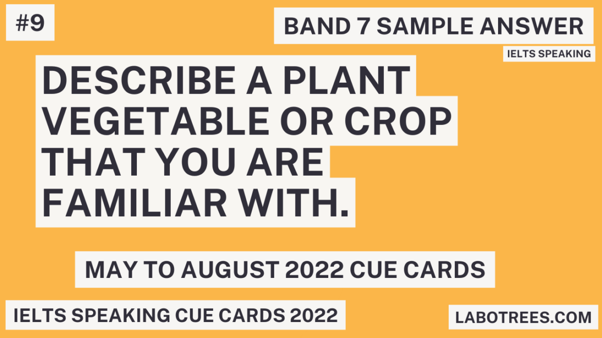 Describe a plant vegetable or crop that you are familiar with.