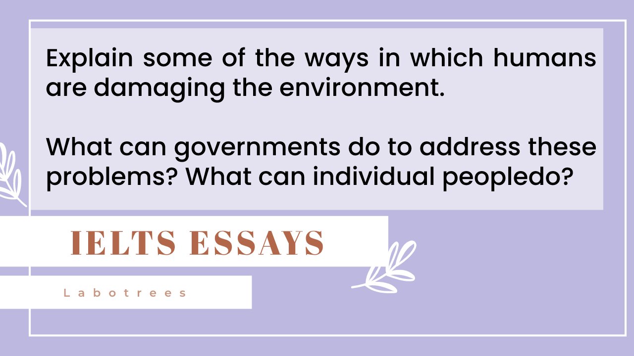 Explain some of the ways in which humans are damaging the environment.