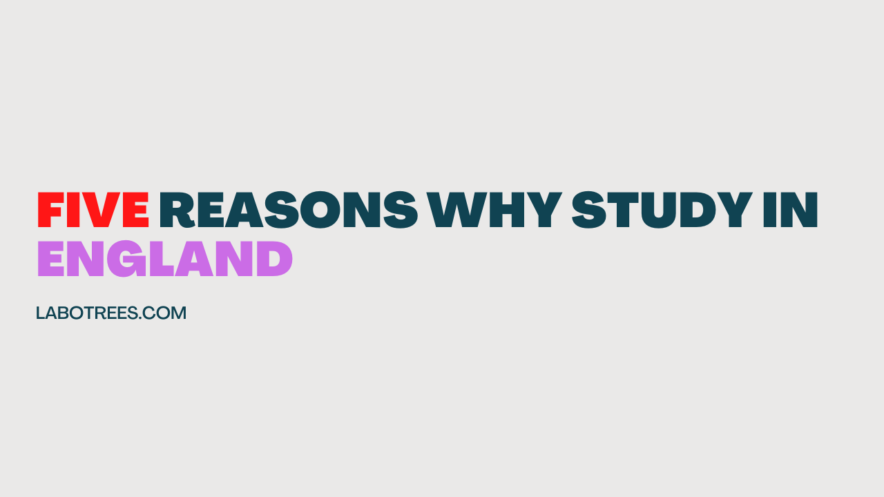 Five reasons why study in England