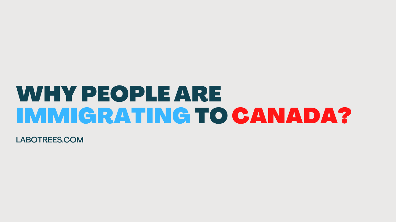 Why people are immigrating to Canada