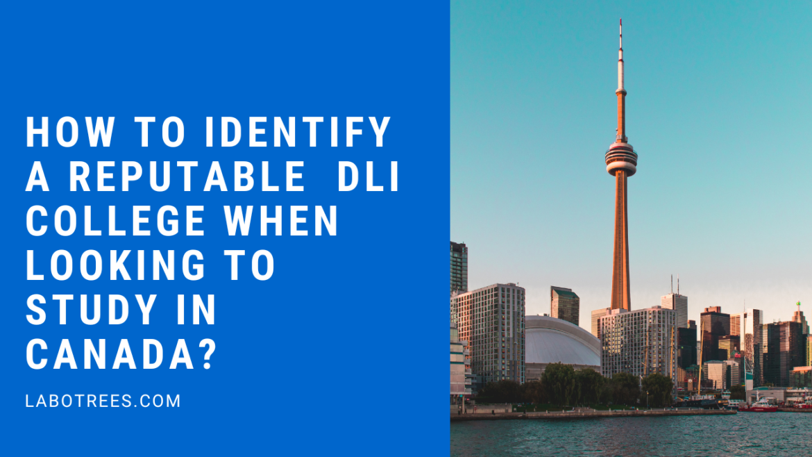 How to Identify a Reputable DLI College When Looking to Study in Canada?